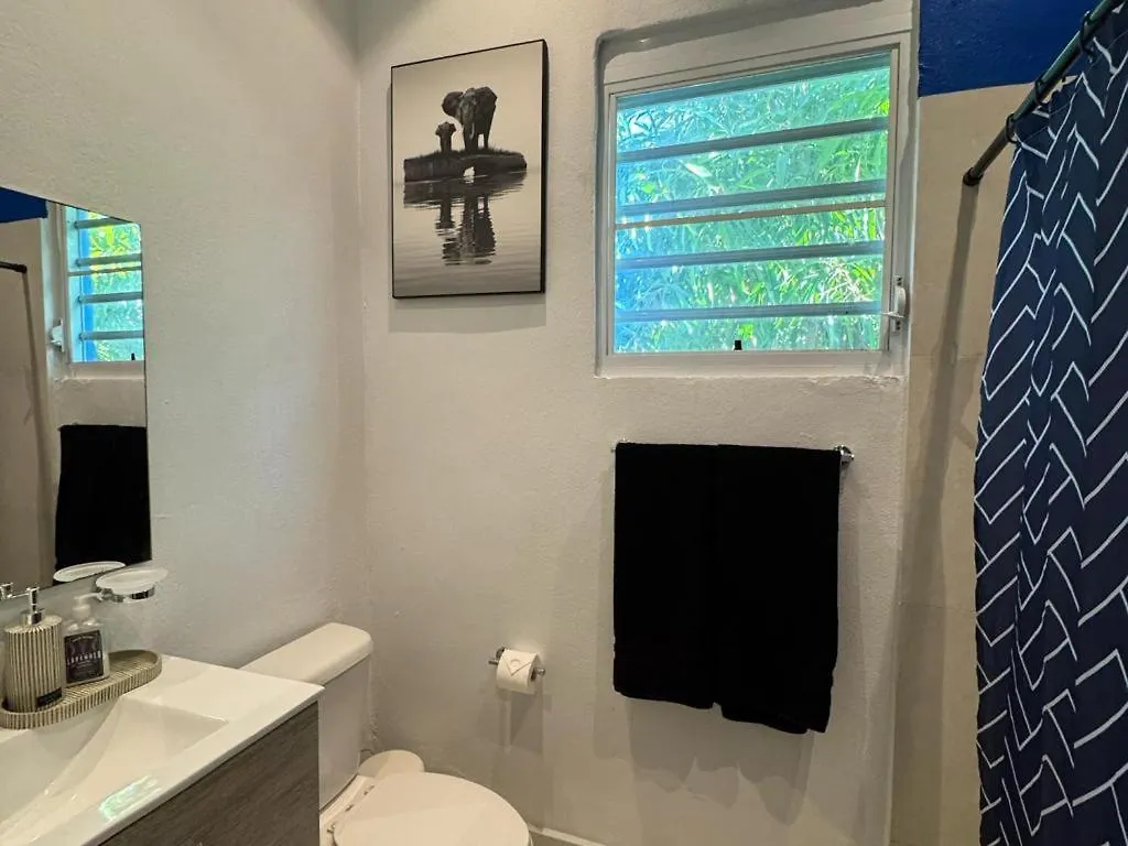 산후안 Elegant 1-Br Penthouse In Condado! 아파트
